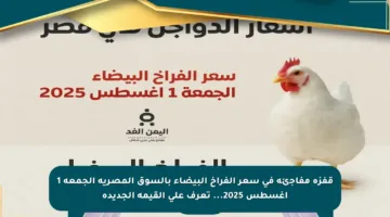 قفزة مفاجئة في سعر الفراخ البيضاء بالسوق المصرية الجمعة 1 أغسطس 2025… تعرف على القيمة الجديدة
